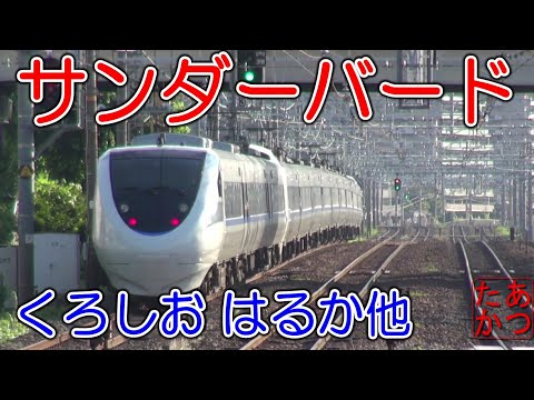 【サンダーバード 新快速 くろしお はるか 高速通過集！ 2023年夏】東海道本線島本駅
