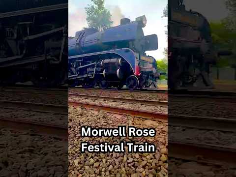 Morwell Rose Festival Train 2024