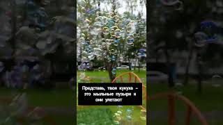 #shorts #shortsbhaiveersinghji #shortsclip #youtube #юмор #нулевые #приколы #песни #смех #ржач #meмs