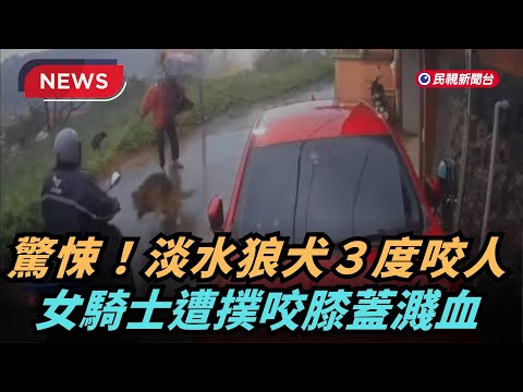 【熱搜新聞】驚悚攻擊！ 淡水狼犬3度咬人  女遭撲咬膝蓋濺血｜民視新聞｜