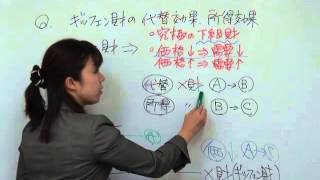 経済学・経済政策（ギッフェン財の代替効果、所得効果）
