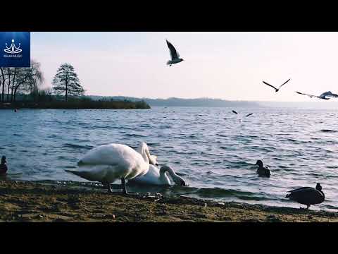RELAX NOW, beautiful music