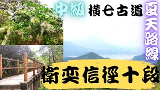 [香港行山]衛奕信徑 第十段- 中級路線 鹿頸往大尾督｜橫七古道｜夏天適合路線｜香港好去處｜郊遊｜八仙嶺｜新界群山