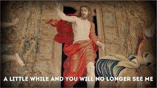 John 16:16-20 ( May 29, 2025 Thursday ) Gospel Reading for Ascension of Lord Year C | A little while