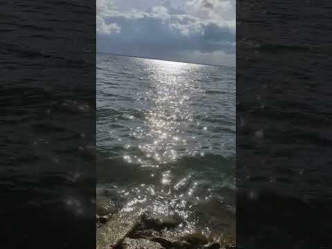 Lakeside kondapochamma sagar