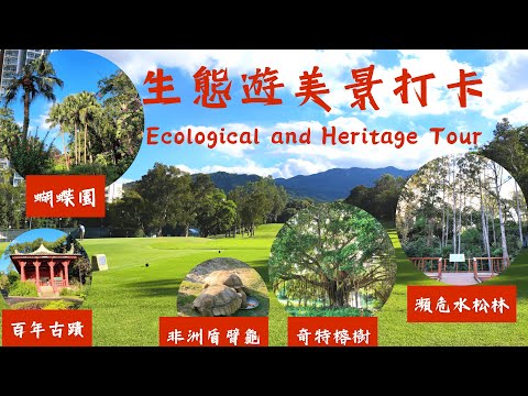 Ecological and heritage tour #Fanling Golf Course #Hongkonglife #Night Walk Trail