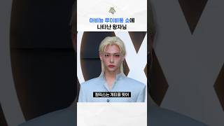 왕자님 재질인 루이비통 필릭스 [스키즈/필릭스]