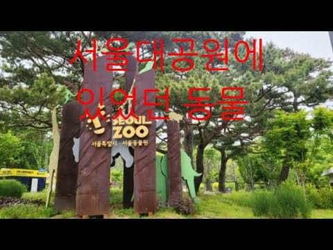서울대공원에 있었던 동물