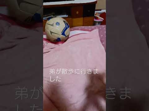 ウザイ数学 #面白い #バズりたい