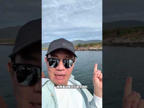 第一次见到野生海豹😍 旅行vlog 张兆辉 跟着辉哥走四方