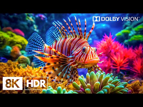 Incredible Deep Ocean Life in 8K HDR | Dolby Vision™