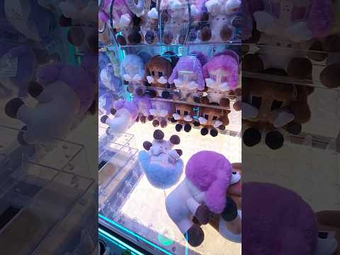 #คีบตุ๊กตา #crybaby ที่ #buddyland จะได้มั้ยนะ