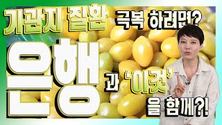 오래된 기침을 진정시키는 명약 '은행'의 활용법?! - 자연음식#16