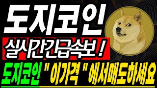 [도지코인 코인전망] 도지 아직 파시면 안됩니다! "이 가격"이 매도 최고가입니다! #도지코인 #도지코인전망 #도지코인시세 #도지코인실시간