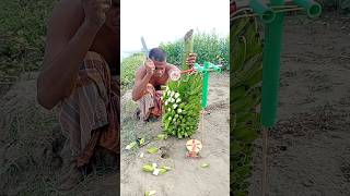 কাঁচকলা দিয়ে ইঁদুর ফাঁদ "|12|" Rat Trap With Raw Banana #rattrap #hunt #viralvideo #survival