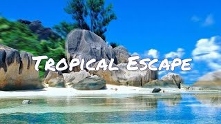 MÄŸN - Tropical Escape