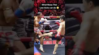 low kick 🦶🦶 power a Muay Thai player