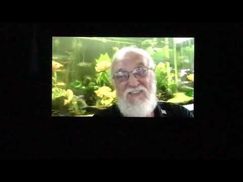 Father Fish in the morning updated intro "new and improved"