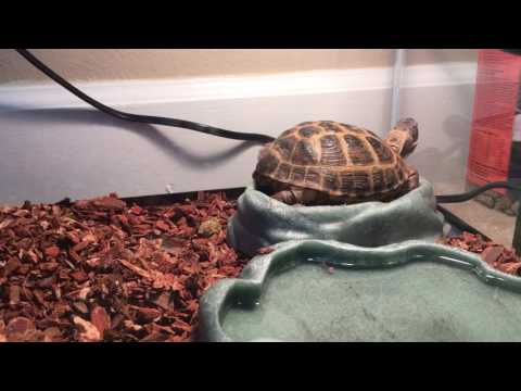 Why are you sitting on your food...
