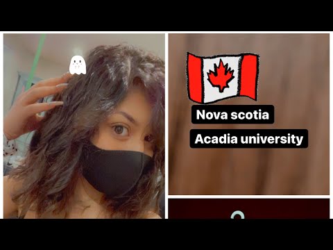 Q&A about Acadia university
