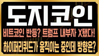[도지 코인전망] 어제 폭락뒤 반등, 그런데 고래들의 움직임이 생각보다 심각한데? 진짜 반등이 아닌 이유와 트럼프 내부자 움직이는중?  #코인사부 #코사부 #DOGE