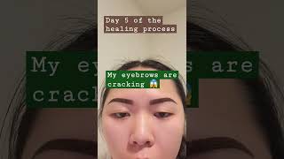 Ombre powder brows healing process day 5! #ombrepowderbrows #healingprocess