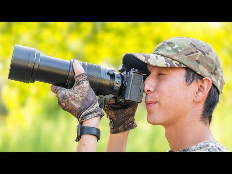 NEW Panasonic 100-400mm Review for Wildlife Photography