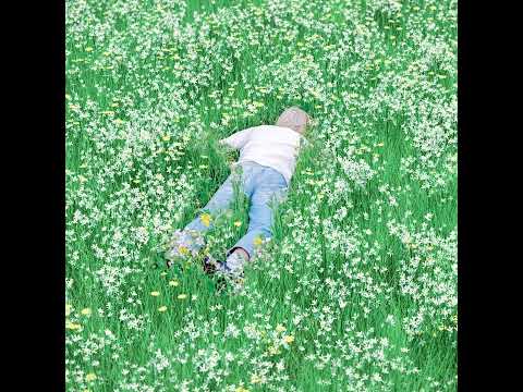 Porter Robinson - Musician [AI Vocals Only]