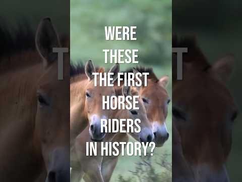 The First Horse Riders in History? The Botai Culture #history #prehistory #horses  #horseriding