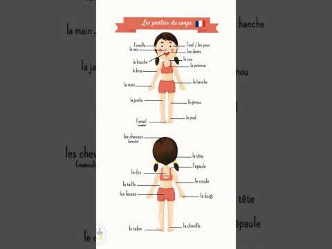 Le Corps Humain🇫🇷 French Lessons | French Vocabulary | French Class | French Shorts | Subscrib🇫🇷