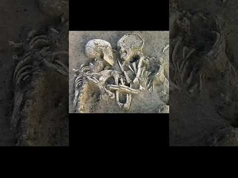 can't wait to one day study archaeology I love history and traveling and this job will give me that.