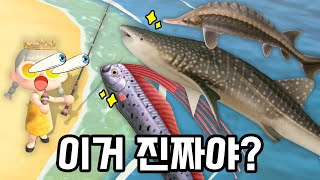 희귀 물고기만 잡힌 레전드 행운의 날