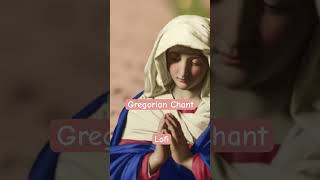 #relaxingmusic #music #catholicmusic #catholiclofi #lofimusicforsleep #lofimusic