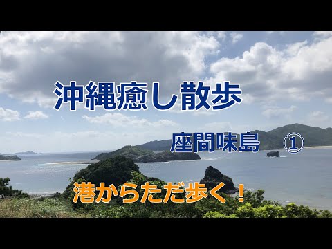 沖縄癒し散歩　慶良間諸島　座間味島 ①　座間味の港から阿真ビーチに向かい途中の海まで。白い鳥と黒いカラスがお出迎え。
