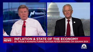 Peter Navarro on Trump's auto tariffs: It'll be like a 'golden age gold rush' for auto companies