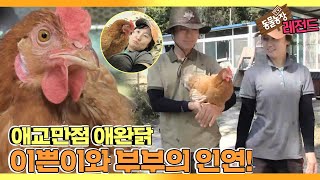 [TV 동물농장 레전드] ’내겐 너무 예쁜 애완닭 이쁜이’ 풀버전 다시보기 I TV동물농장 (Animal Farm) | SBS Story