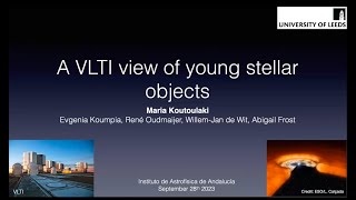 A VLTI view of Massive Young Stellar Objects (MYSOs)
