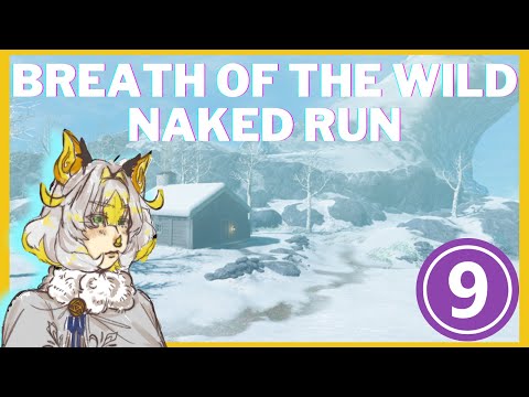 [DONOTHON DAY 2 MORNING] Breath of the Wild No Armor Run Pt. 9