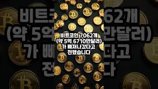 비트코인(BTC) 고래, 매도 움직임… 한 주간 BTC 5만여개 감소 (25년03월16일)
