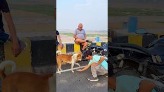 Dog Performs Amazing Flip🐶 #DogFlip #DogTrick #AgilityDog #FunnyDogs #DogLovers#dogclothes