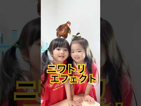 I tried the chicken effect 🤗#chicken #effect #raising two children close together #Aoi-chan #Sumi...