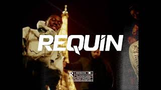 Tiakola Type Beat "REQUIN" Instru Rap Mélo Afro Amapiano