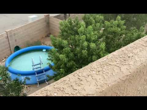 Haboob 11 July 2024
