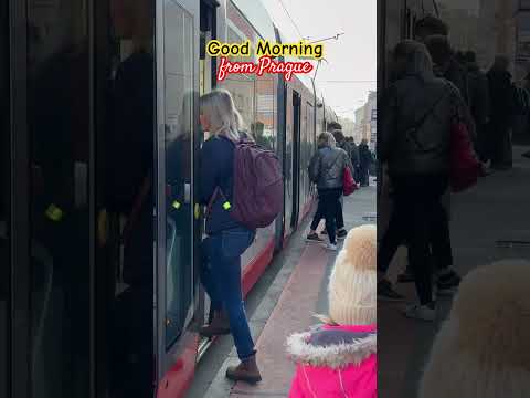 Prague Streets at 7am | Spring is here March 21, 2025 #spring