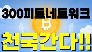[ 300피트네트워크 ] 이 코인 천국간다!!