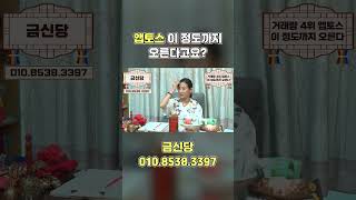 앱토스 코인 이정도까지 오른다구요??