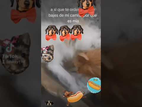las aventuras de ratita y peluchin capítulo 5