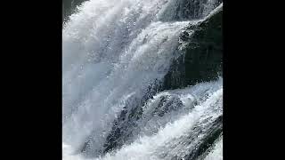 1 hour live Waterfalls #beautifulnaturesounds #waterfallsoundforsleep #deepsleepingasmr