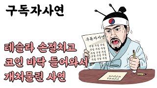 30대 여회사원의 코인 개처물린 사연 [엑시인피니티 차트분석]