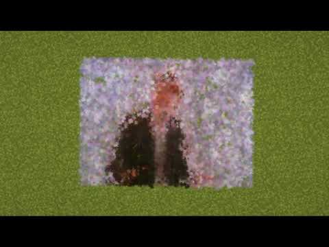 Image to Particle Generator | Minecraft 1.17 | Python Script